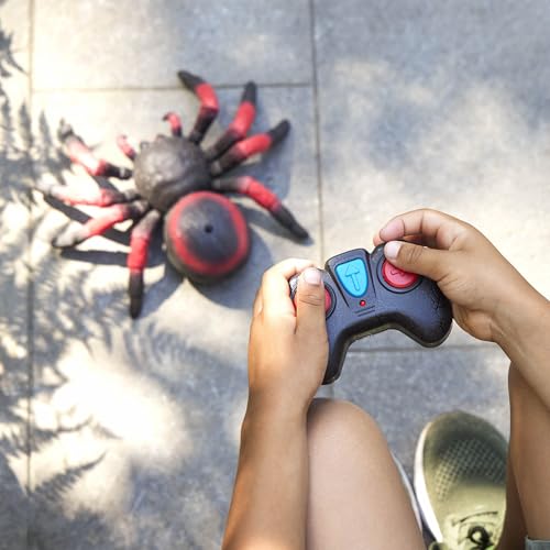 Terra by Battat AN2805Z Remote Control Spider Toy - Realistic Moving Legs, 360° Spin, Educational Insect Play for Kids 5