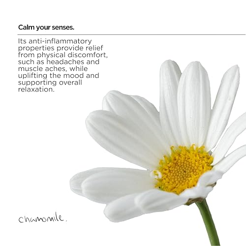 The Lab Co. - Non-Bio Concentrated Laundry Detergent | 1L, 40 Loads 16