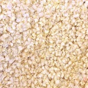 Wholefood Earth Organic Quinoa Flakes (1 kg)