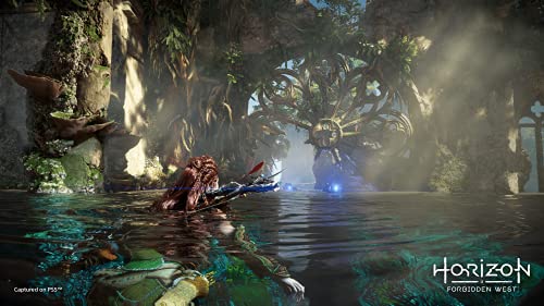 Horizon Forbidden West - PS5 24