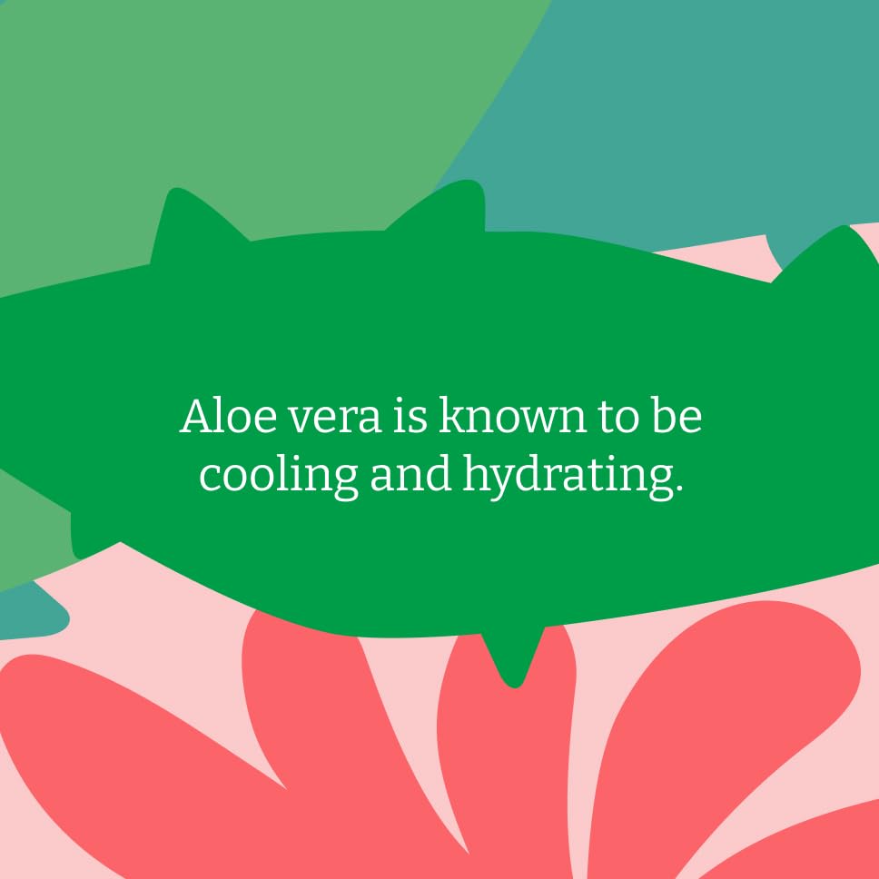 Faith in Nature Organic Aloe Vera Soap Bar (100g)