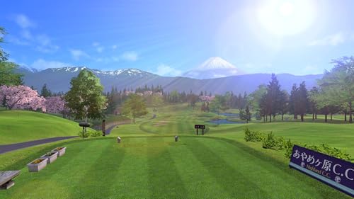 Jedermanns Golf-Hotshots – Nintendo Switch 3
