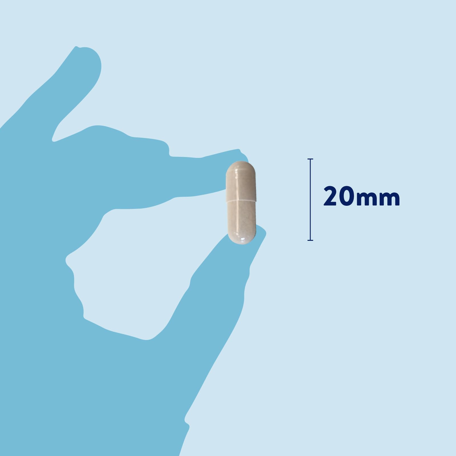 DORWEST HERBS Probiotic Plus for Dogs - Pre, Pro & Postbiotic Support | 100 Capsules 3
