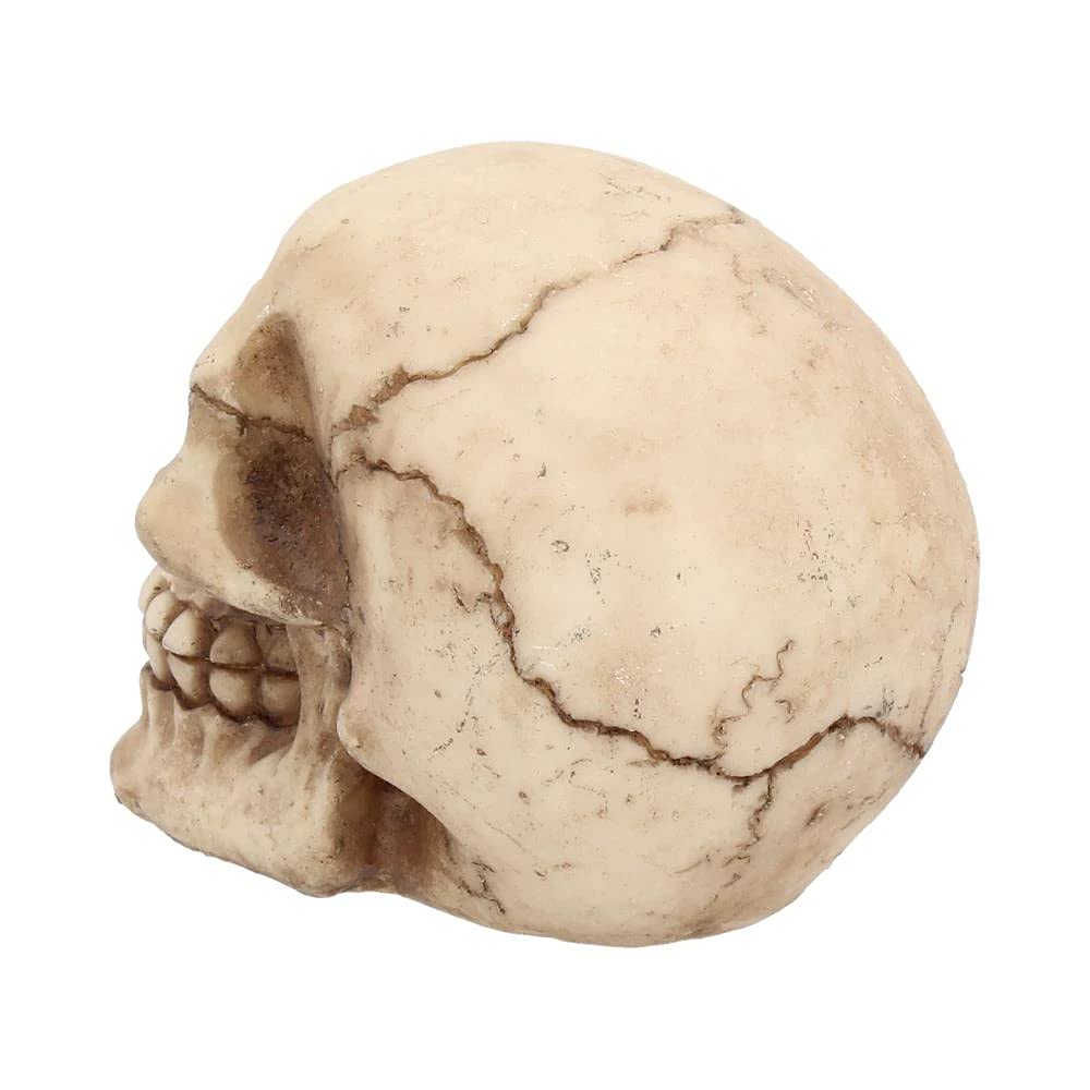 Nemesis Now Joker Skull Decorative Ornament - Resin, Ivory, 12 cm 4