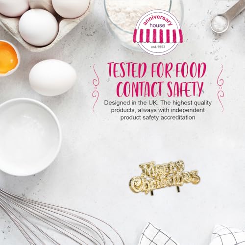 Anniversary House - Plump Christmas Robin Resin Cake Topper & Merry Christmas Motto Set 6