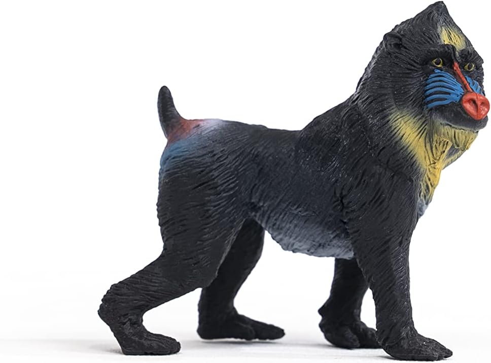 SCHLEICH Mandrill Figurine 14856 - Wildlife Animal Figure for Kids 3+