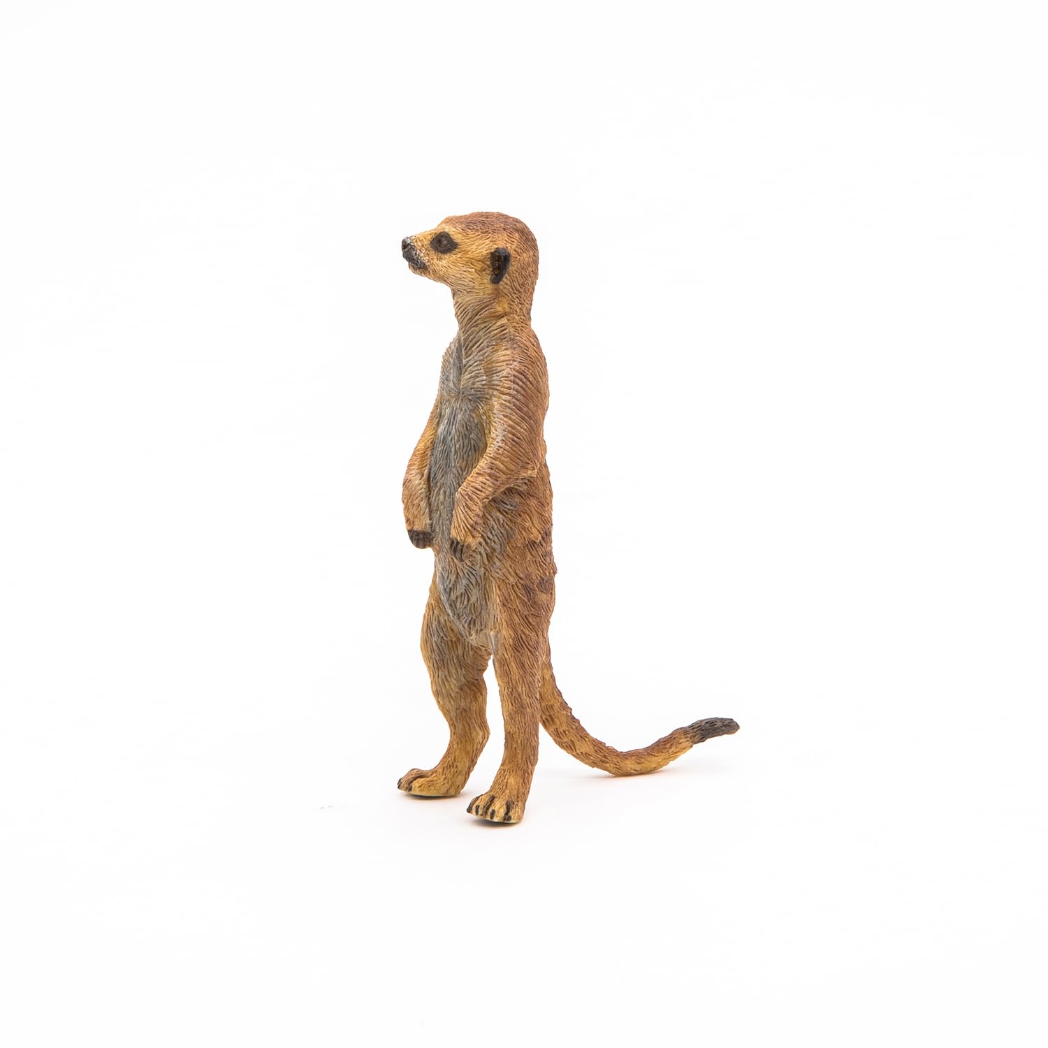 Papo 50206 Standing Meerkat Figurine - Educational Wildlife Play Figure for Kids 3+