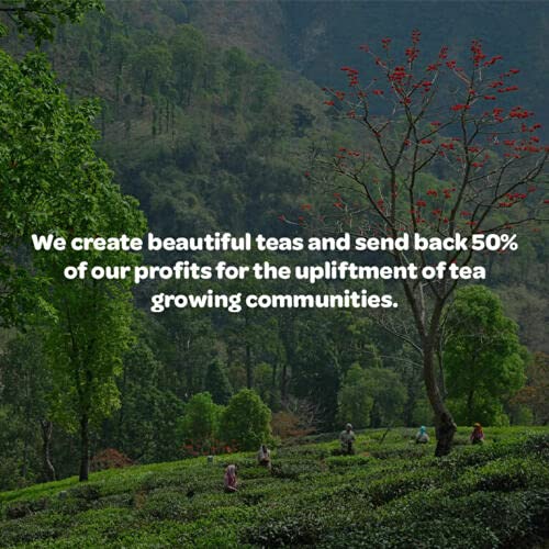 Tea People Ashwagandha Herbal Tea – 75g Retail Pack (35 Cups) – Caffeine-Free Adaptogen Root Tea 3