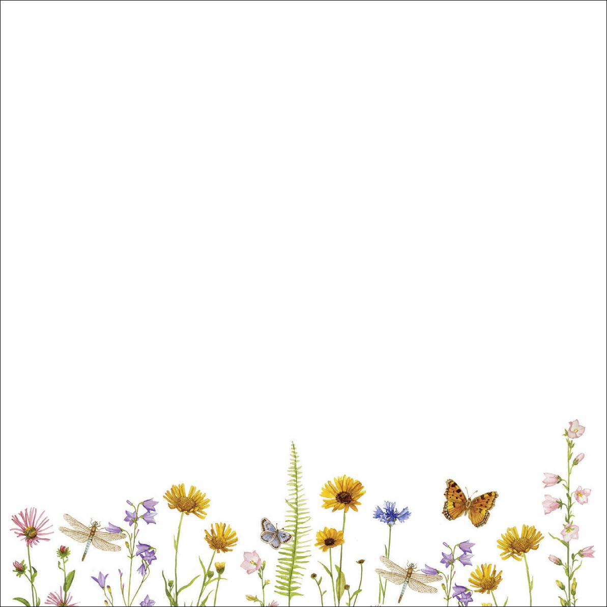 Peter Pauper Press Wildflower Garden Desk Notes - 250 Sheets | Keepsake Box with Gold Foil