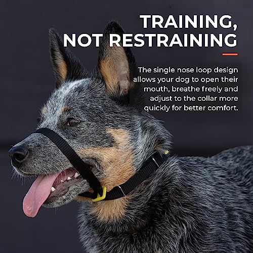 Canny - Canny Collar Head Collar for Dog Training and Walking - Black (Size 4, Model 02-1005) 7