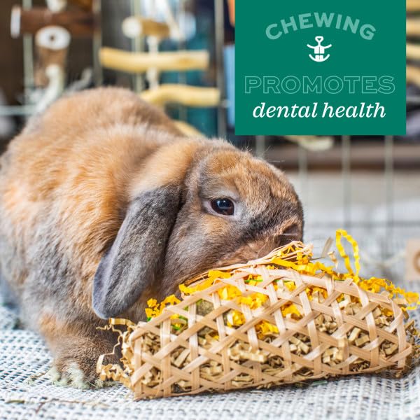 Oxbow Enriched Life Loco Ball - Small Animal Chew Toy for Rabbits & Guinea Pigs | Natural Fibres 6
