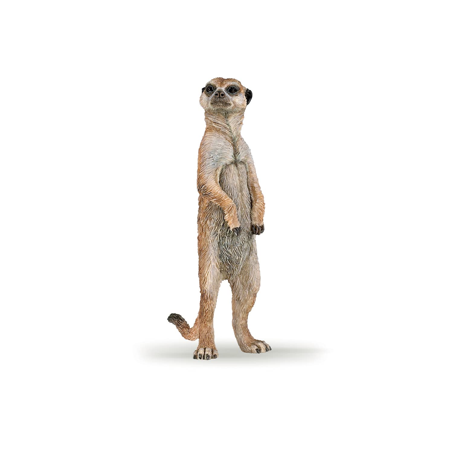 Papo 50206 Standing Meerkat Figurine - Educational Wildlife Play Figure for Kids 3+