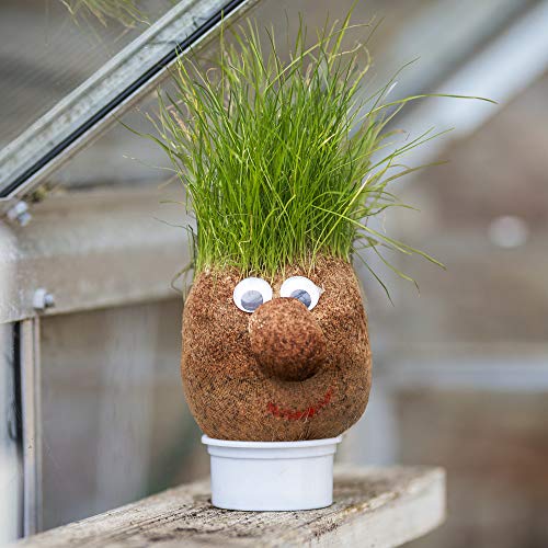 Tobar - Mr Grasshead Hair Grow Toy 3