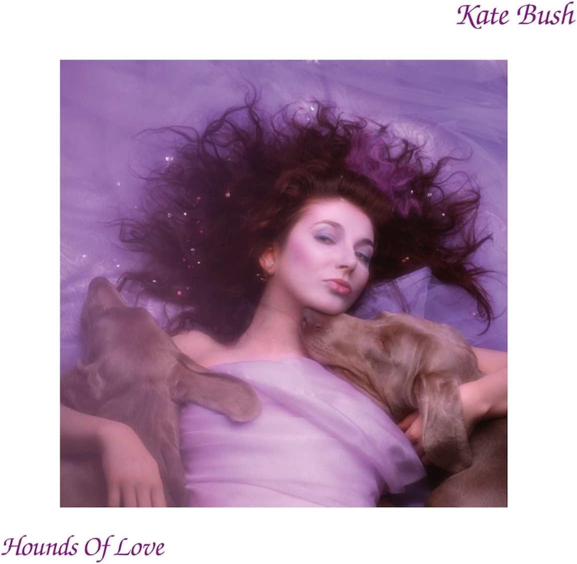 Kate Bush - Hounds of Love (Fish People Edition) [VINYL]