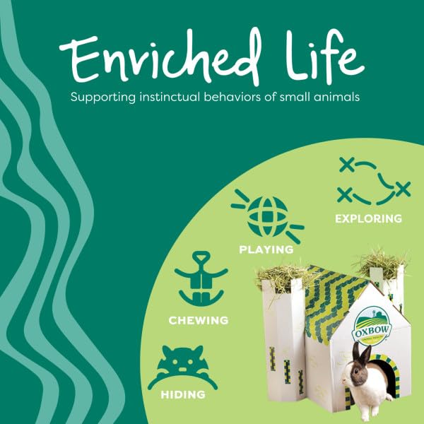 Oxbow Enriched Life Crunchy Carrot Chew Toy for Small Animals | Supports Chewing & Enrichment 5