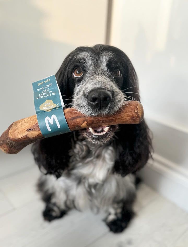 pet wiz Olive Wood Dog Chew Toy - Oral Hygiene Aid | Hypoallergenic | Medium Size 3