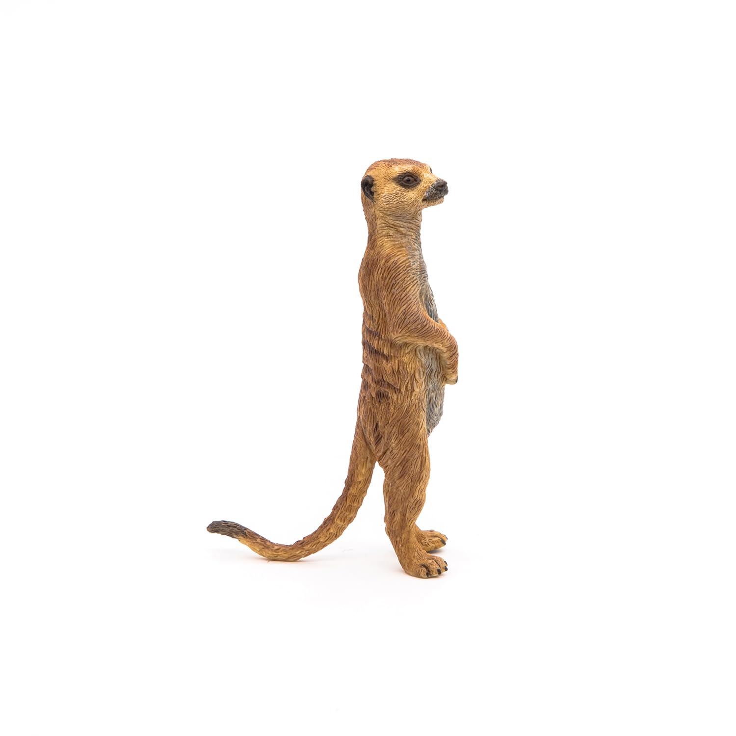 Papo 50206 Standing Meerkat Figurine - Educational Wildlife Play Figure for Kids 3+ 3