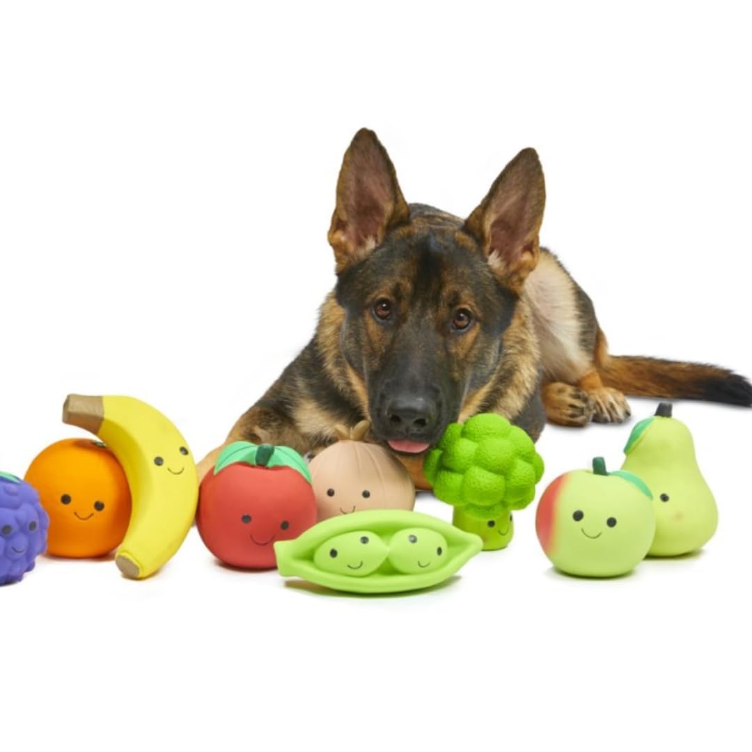 Petface Large Latex Broccoli Soft Squeak Chew Dog Toy | Durable Natural Rubber 5