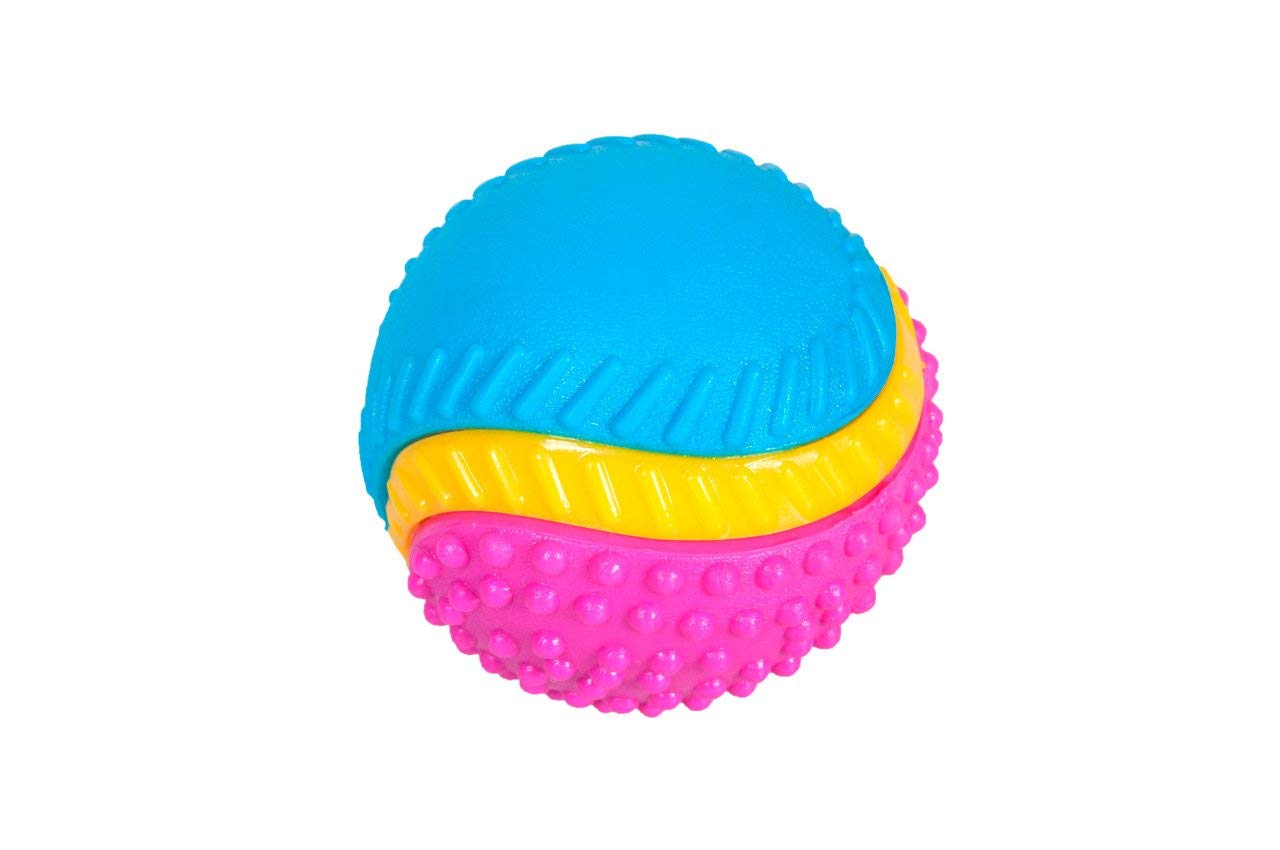 Sharples Five Senses Rubber Dog Ball - Beef Scented | Medium Size | Multicoloured