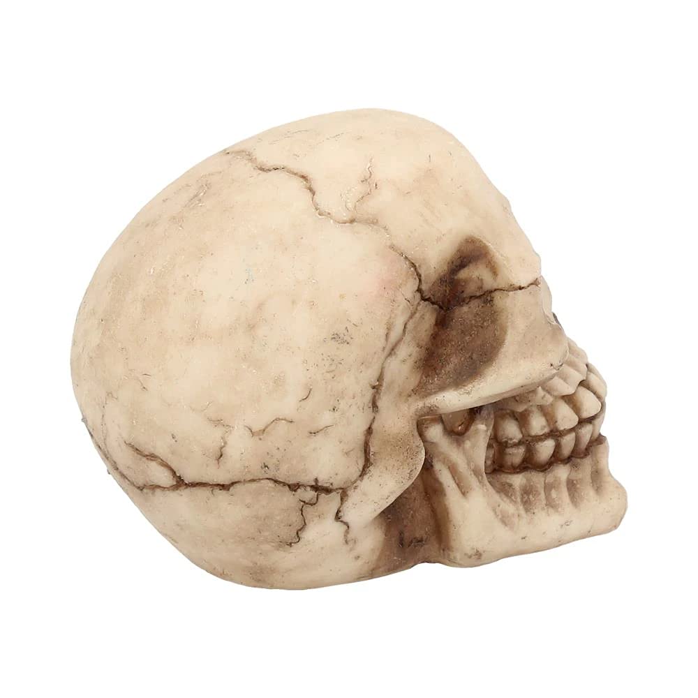 Nemesis Now Joker Skull Decorative Ornament - Resin, Ivory, 12 cm 6