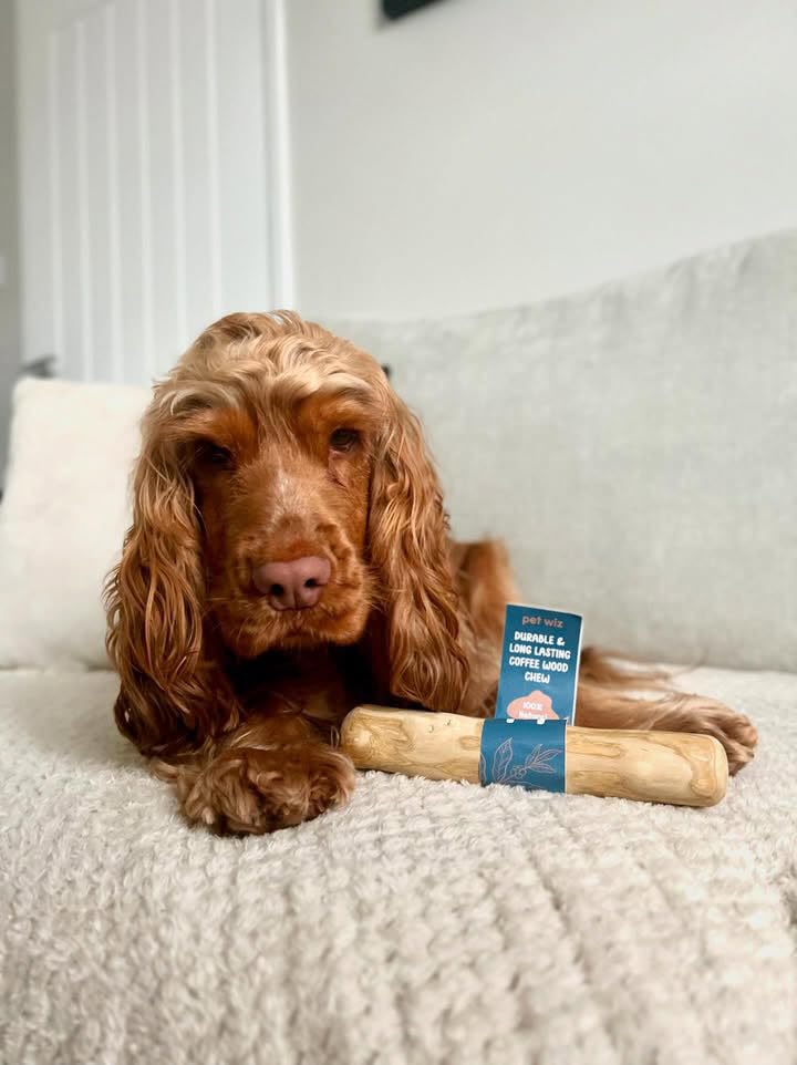 pet wiz Coffee Wood Dog Chew - Medium Size | Heavy Duty | Oral Hygiene