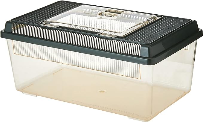Exo Terra PT2300 Flat Faunarium - Medium Plastic Terrarium for Reptiles & Amphibians