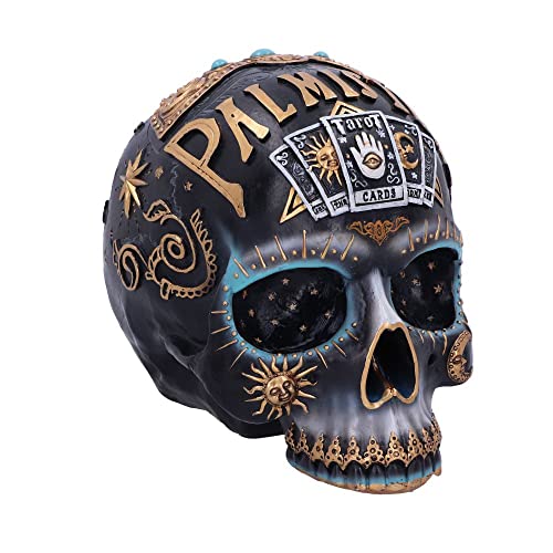 Nemesis Now Destiny Skull Gothic Decor Figurine (18cm)