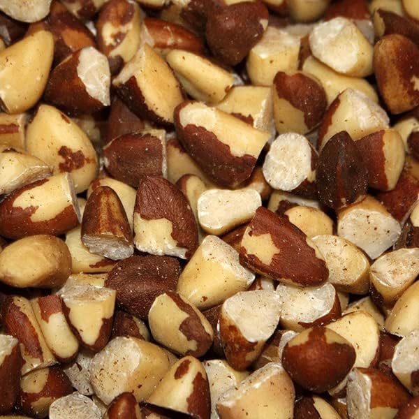 Wholefood Earth Broken Brazil Nuts 1 kg | GMO Free | Natural | Vegan | High in Fibre & Protein 4