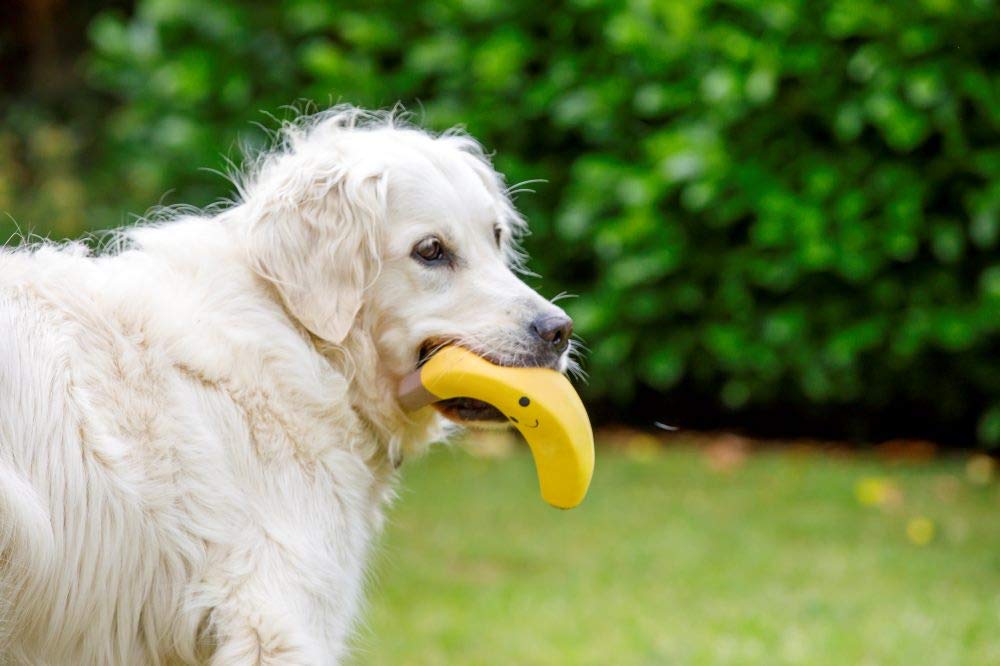 Petface Large Latex Banana Soft Chew Dog Toy | Durable | Squeaker Inside 4