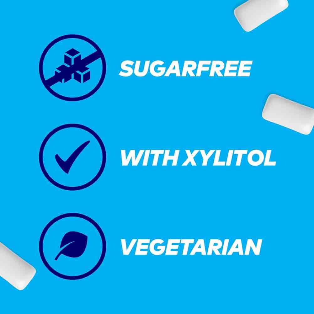 Extra Wassermelonengeschmack, zuckerfreie Kaugummis, Flasche, 46 Stück 4