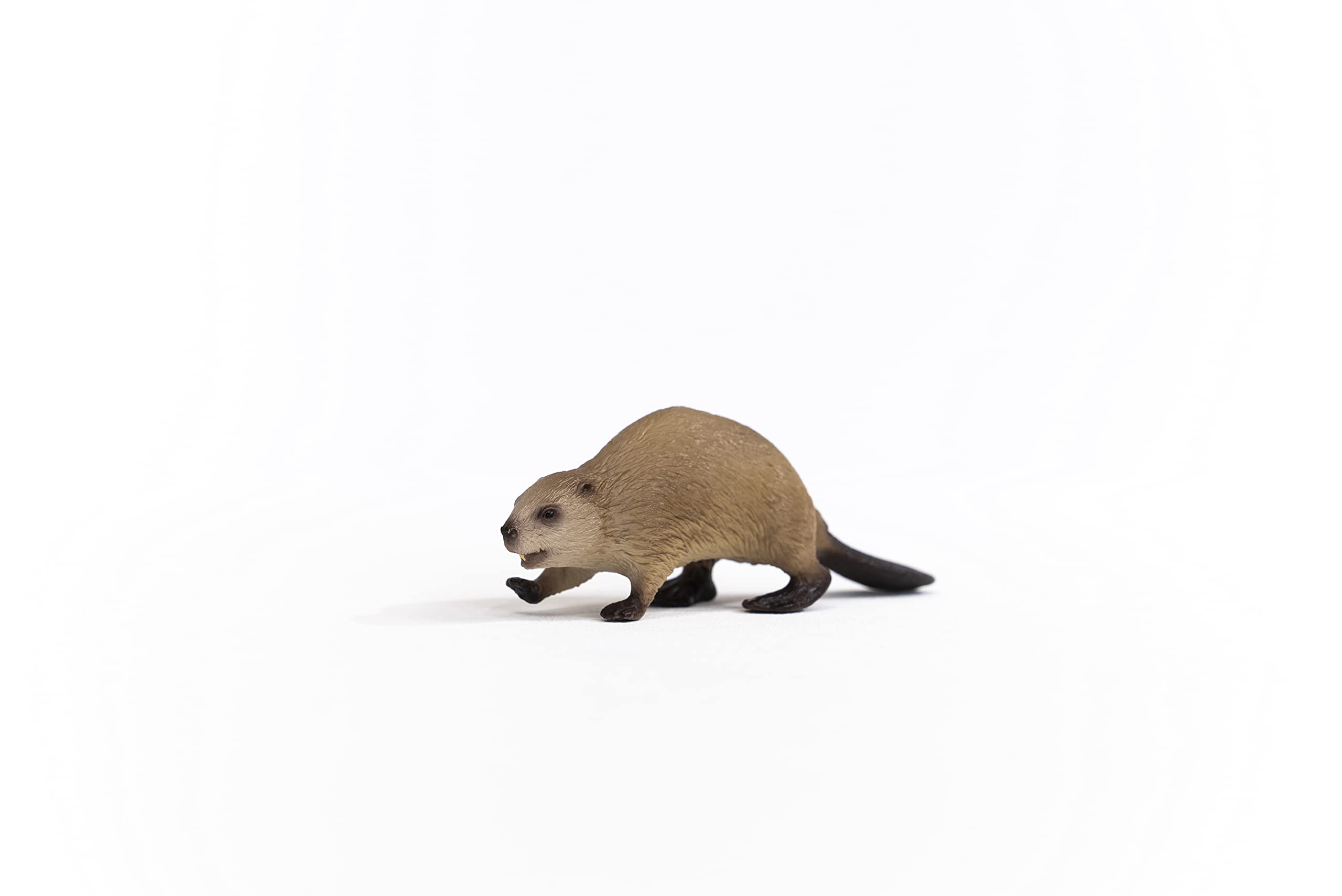 Schleich 14855 Beaver - Wildlife Animal Figure for Kids 3+ 8