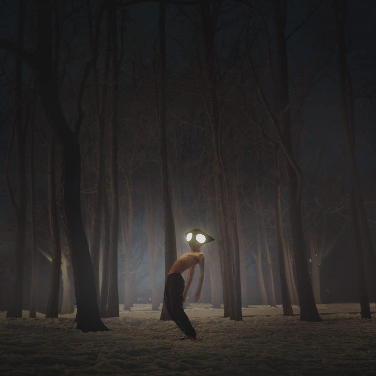 Geese - Projektor Audio-CD