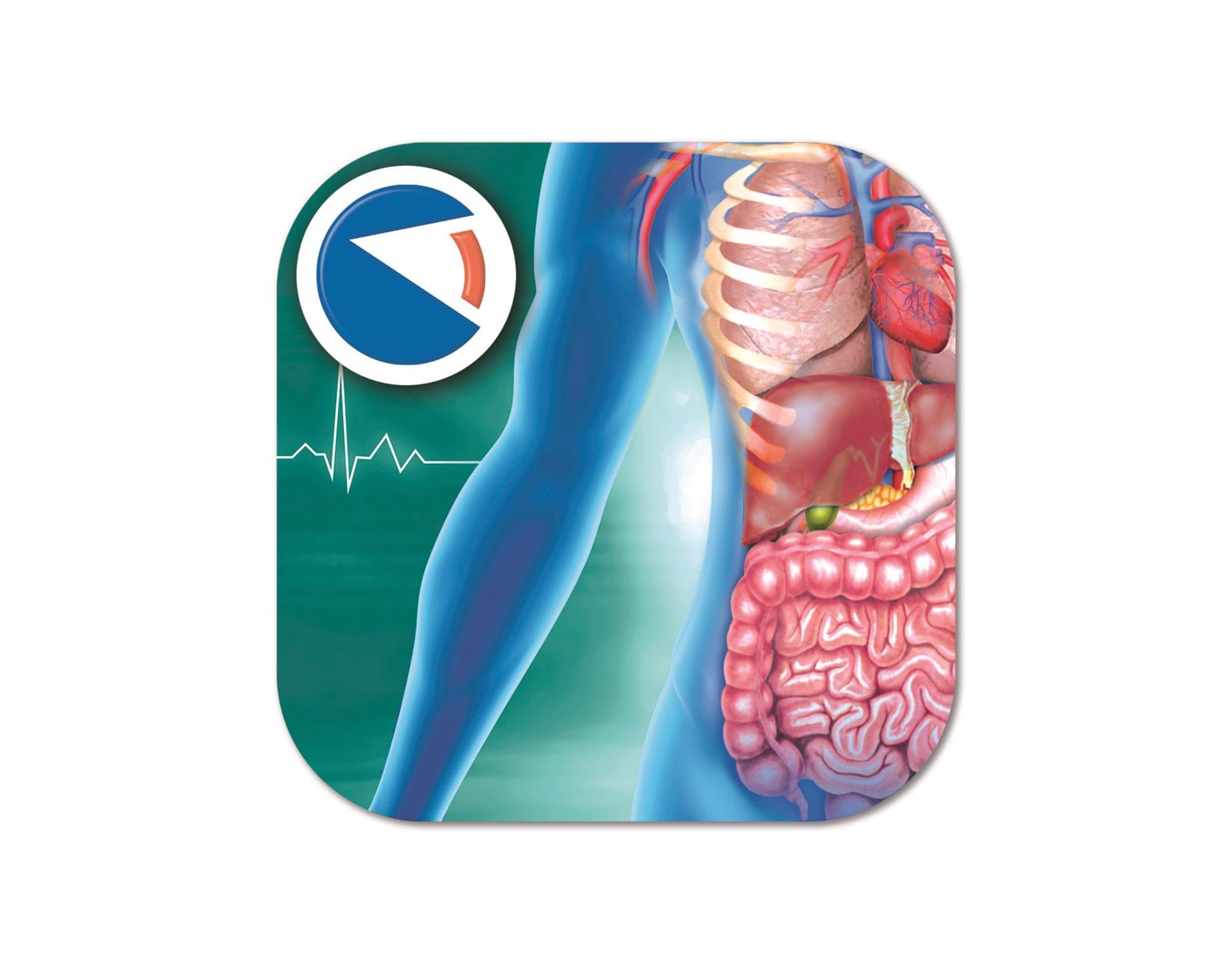 Clementoni Super Anatomy Augmented Reality Science Kit - Build Skeleton Model | Ages 8+ 8