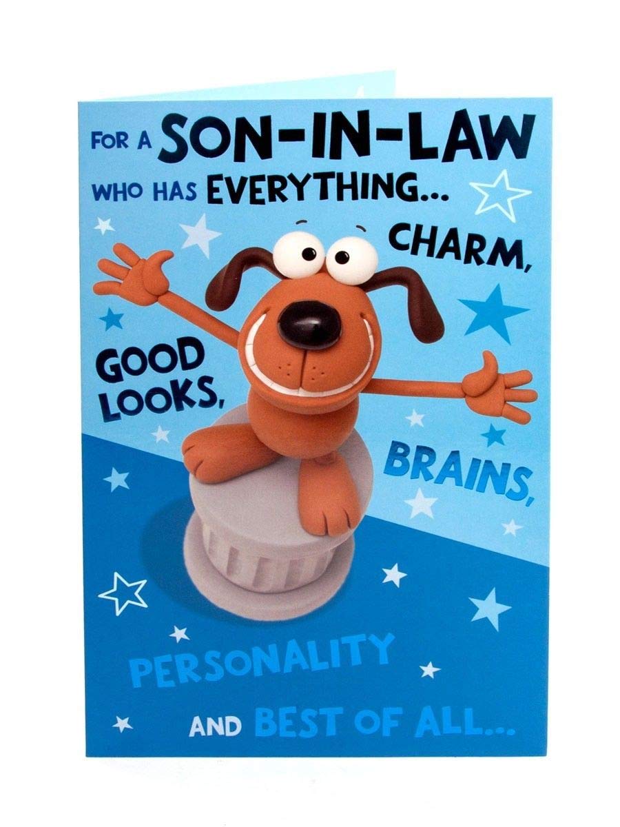 UK Greetings Crackers Range Funny Son-In-Law Birthday Greeting Card | 137mm x 210mm