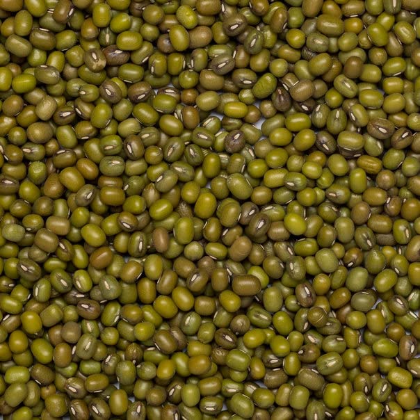 Wholefood Earth Organic Mung Beans 1kg | GMO Free | High Protein | High Fibre | Certified Organic