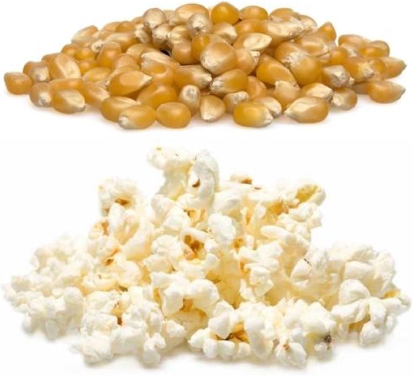 Seba Garden Popcorn Kernels (1 kg) - Vegetarian, Gluten-Free, GMO-Free Snack