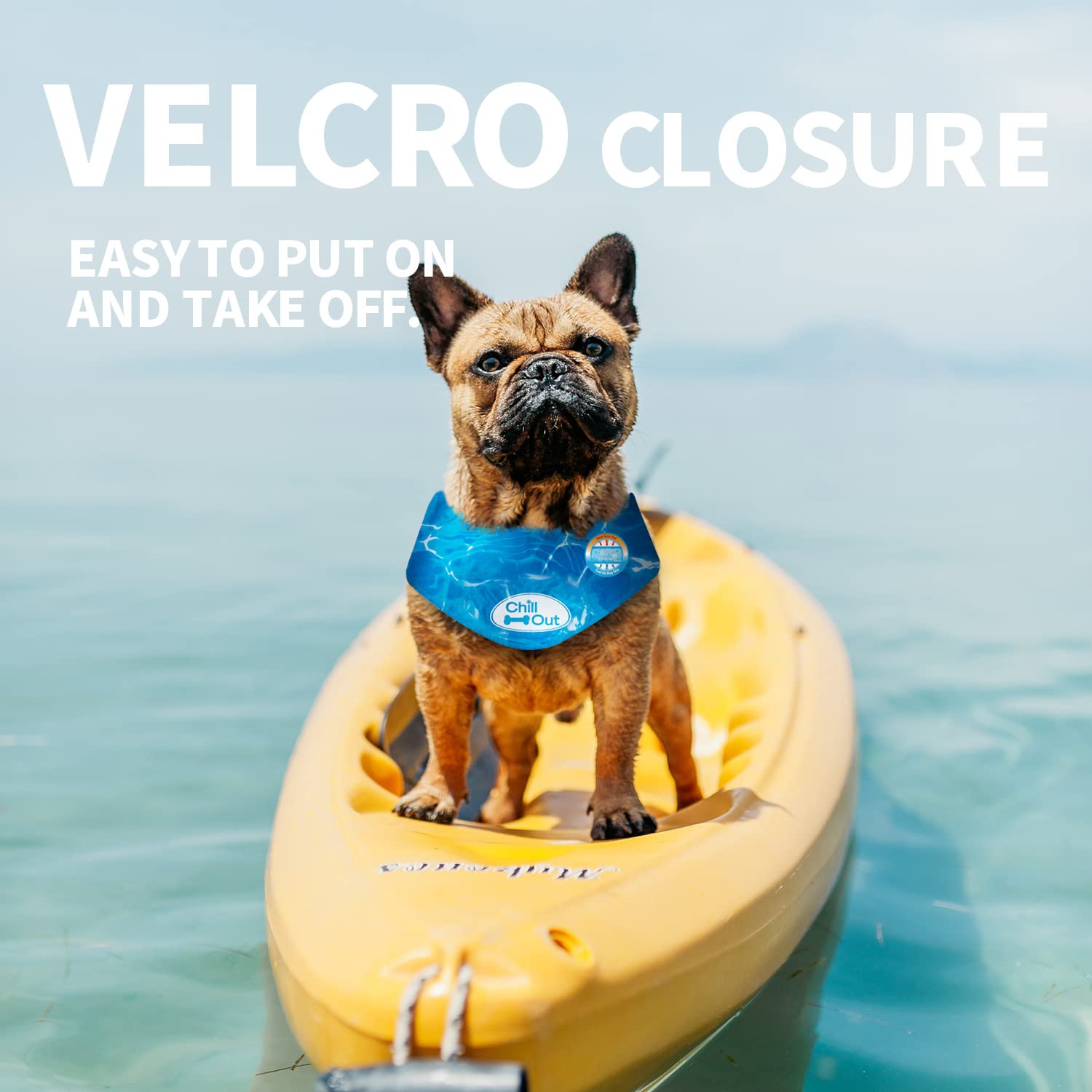 ALL FOR PAWS Chill Out Dog Ice Bandana - Instant Cooling Scarf for Summer | Blue, Large (Neck 44-52 cm) 8