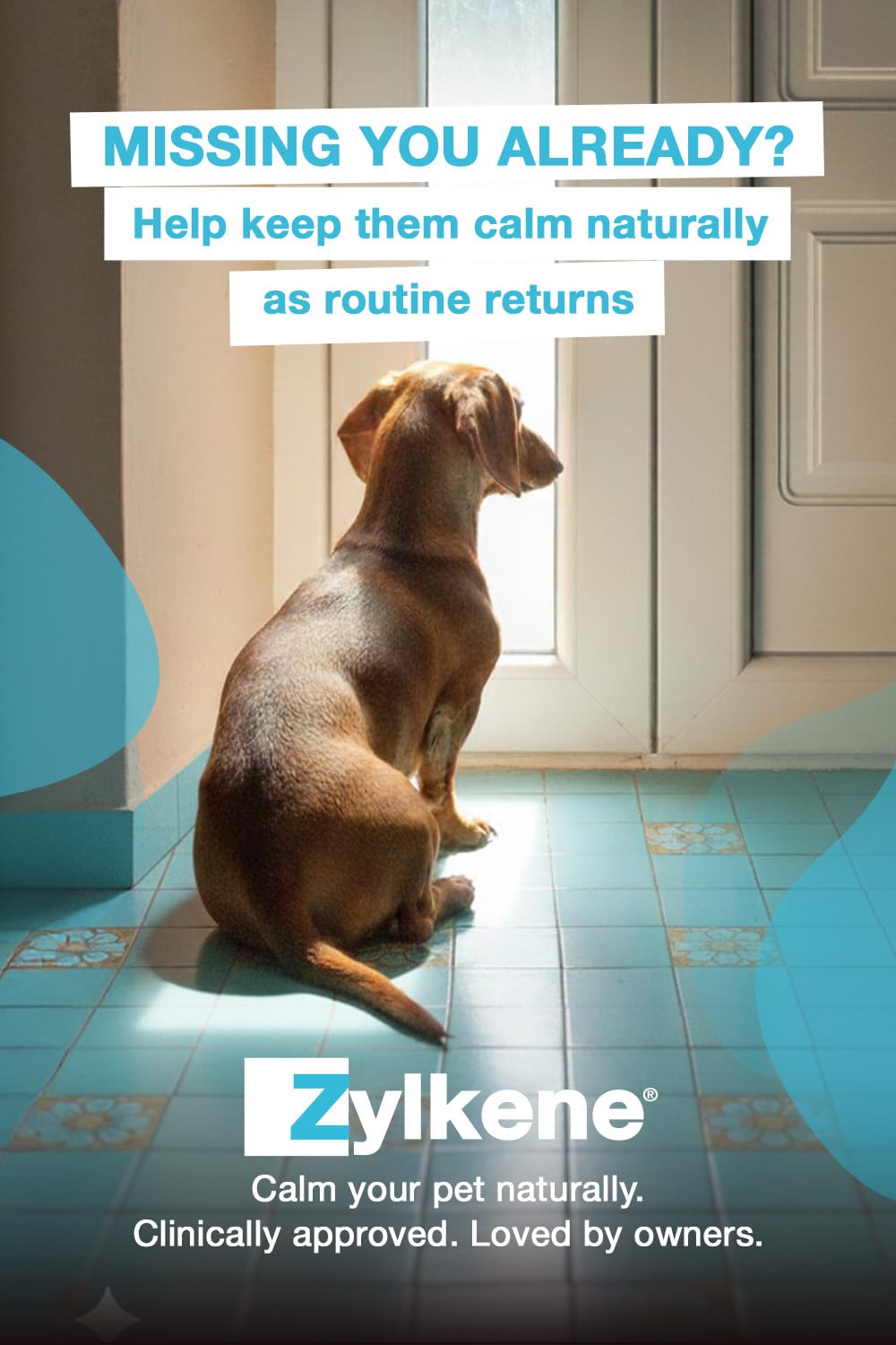 Zylkene Calming Supplements for Medium Dogs (10 to 30kg) 225mg | Promotes Relaxation 3