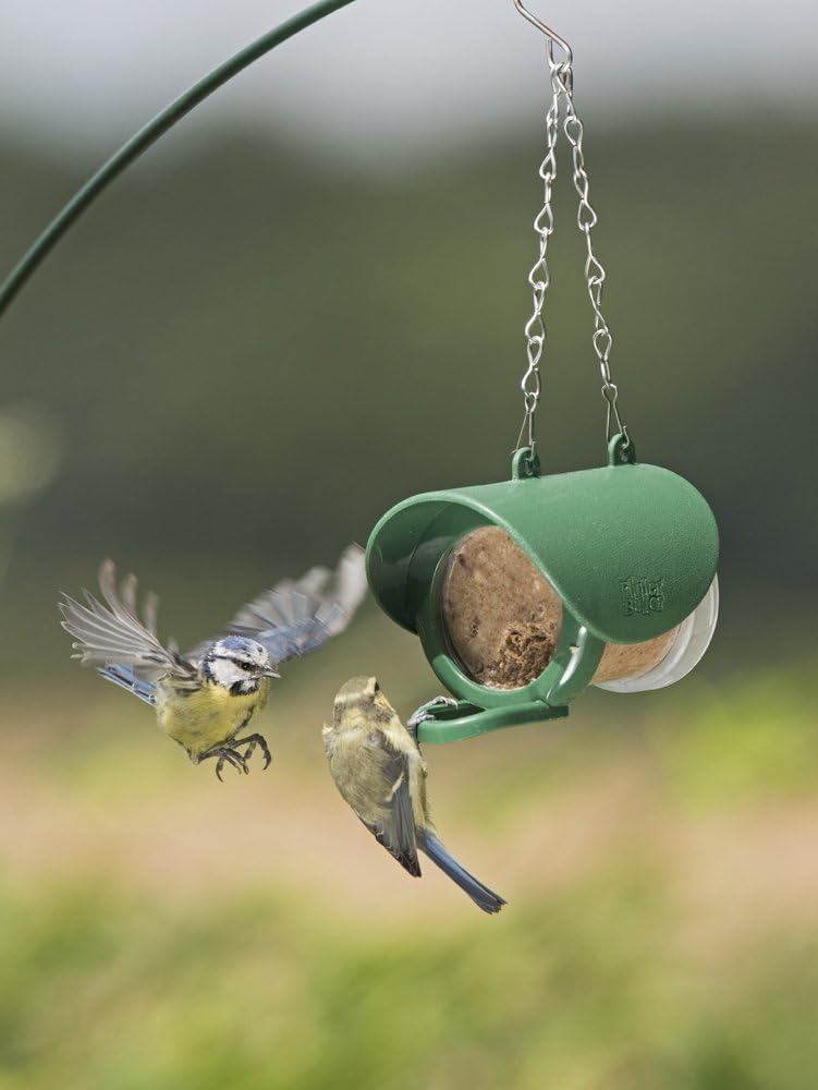 Jacobi Jayne FB-PB3 Flutter Butter Buggy Pods, 3er-Packung x 170 g 4