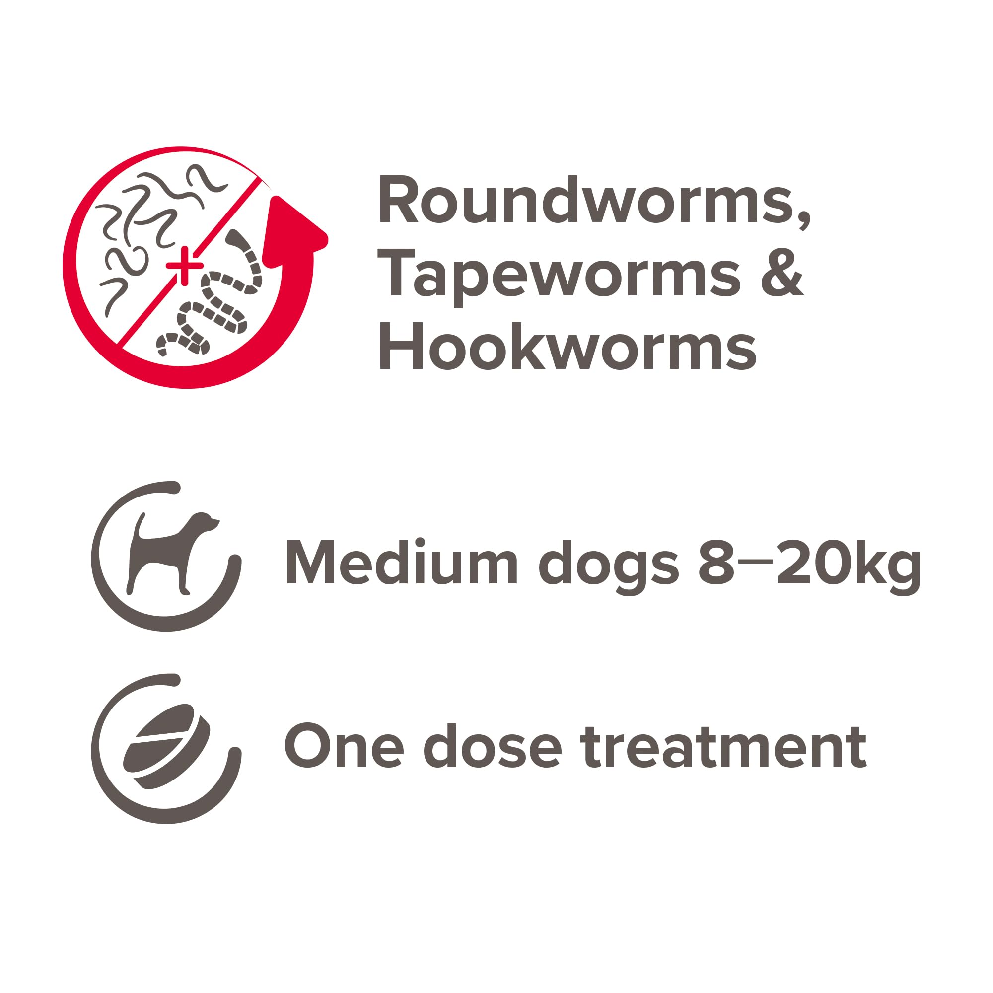 Beaphar Easy One Dose Worming Tablets for Medium & Large Dogs | Kills All Common Intestinal Worms | Nitroscanate 3