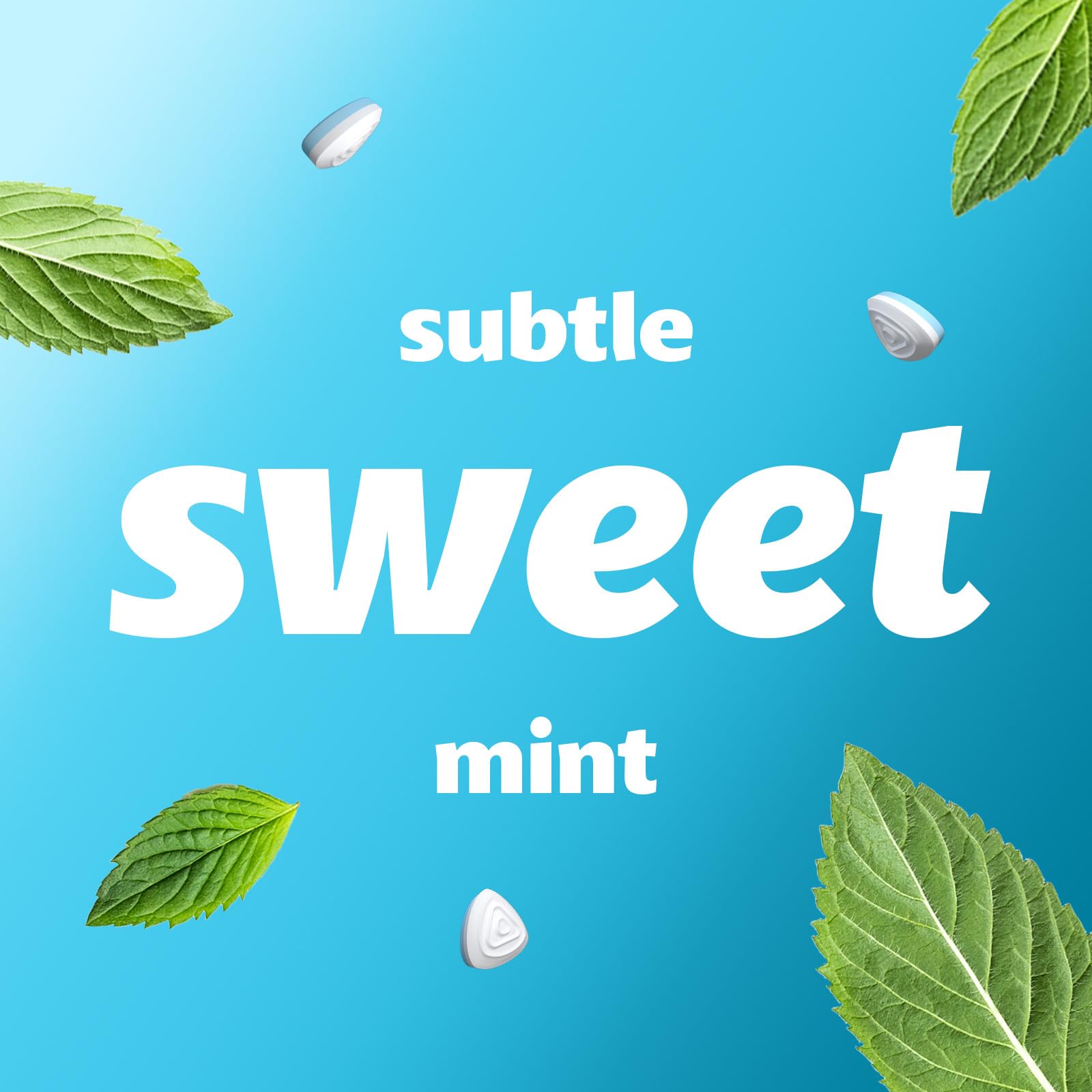 Smint Sugar Free Sweet Mints - 12 XXL Tins (50 Mints Each) | Tooth-Friendly Xylitol 5