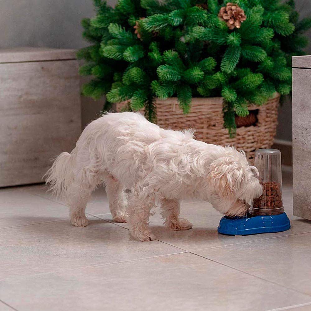 Ferplast AZIMUT 600 Automatic Pet Feeder/Water Dispenser - 0.6L Capacity | White Plastic 3