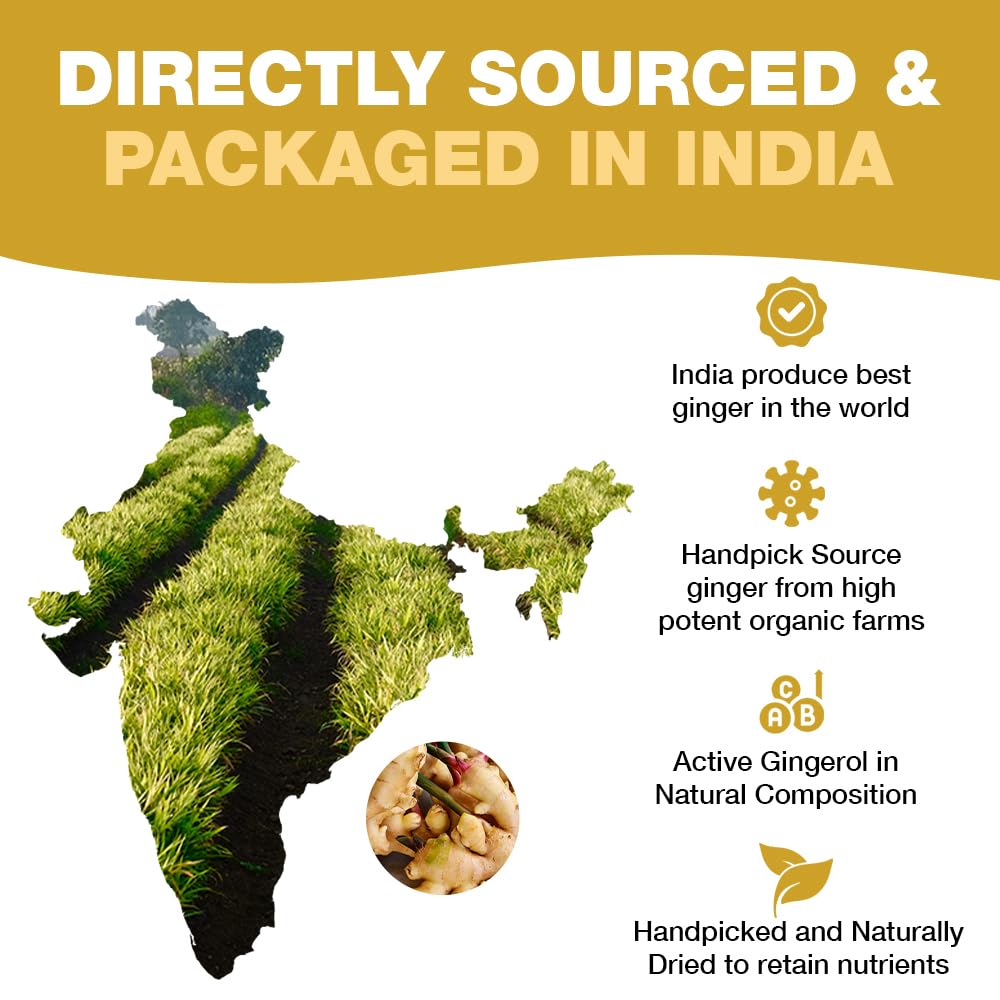 HANDPICK Ginger Tea Bags (100 Count) Non-GMO, Pure Ingredients - Soothing & Spicy Herbal Tea | Eco-conscious Round Tea Bags 5