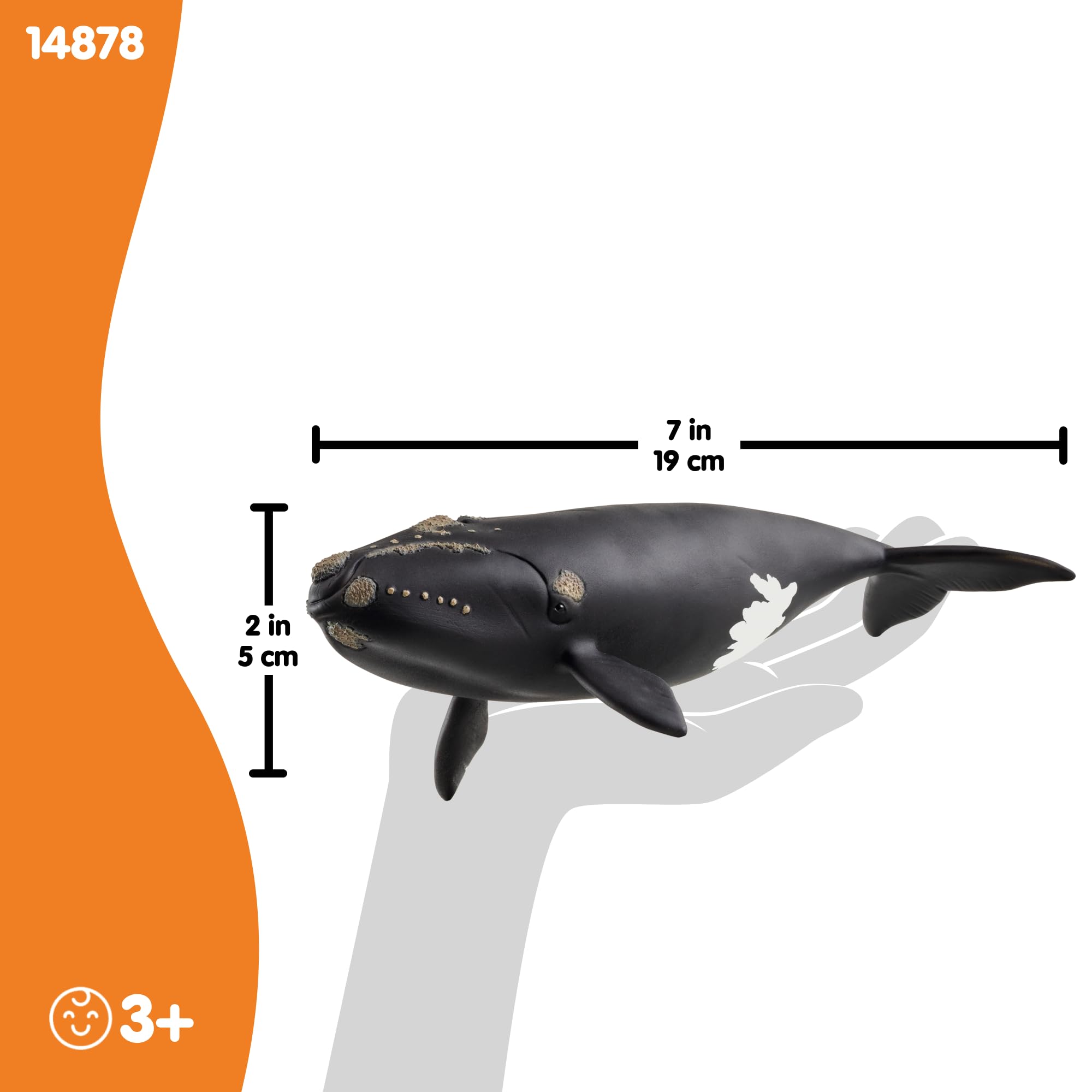 Schleich Wild Life Right Whale Figurine - Realistic 19cm Ocean Animal Toy for Kids