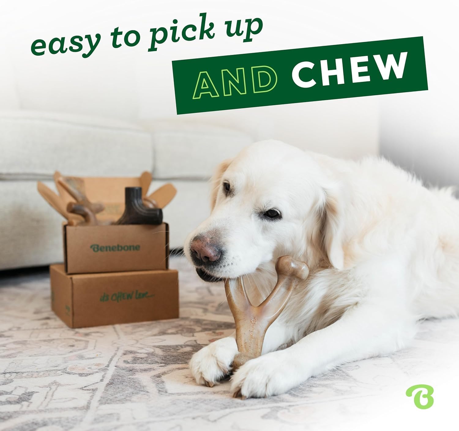 Benebone Durable Dog Chew Toy Box for Aggressive Chewers - 4 Pack Medium Nylon Chews with Bacon, Salmon & Maple Flavors
