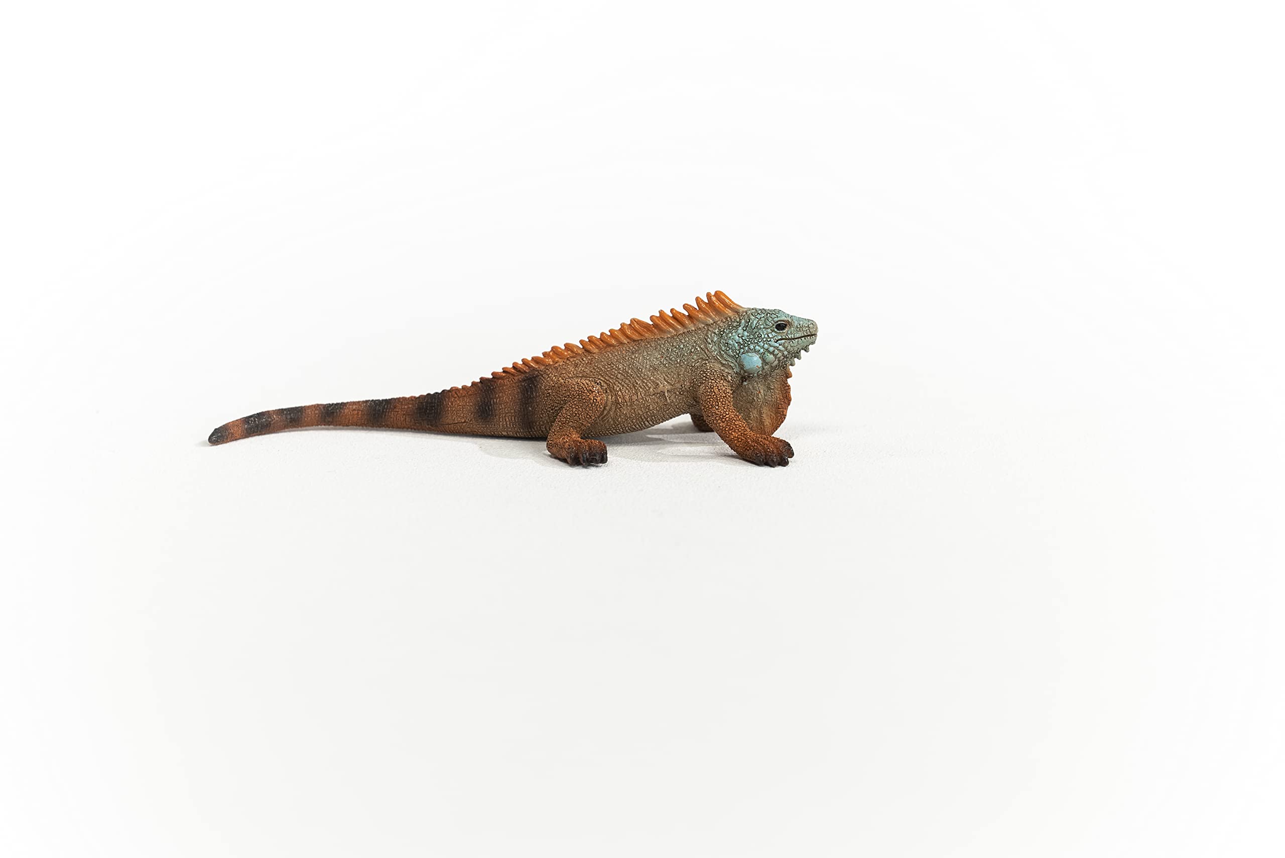 SCHLEICH Iguana Wildlife Figurine - Realistic Reptile Toy for Kids 7