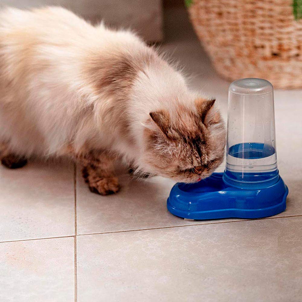 Ferplast Azimut 600 Automatic Pet Feeder/Water Dispenser - 0.6L Capacity | Blue Plastic 4
