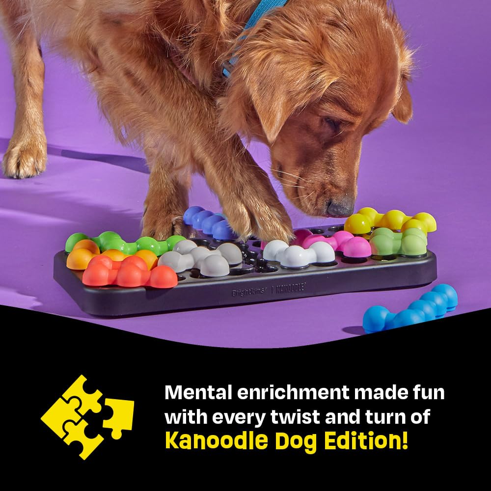 BrightKins Kanoodle Dog Edition Large - Interactive Treat Puzzle Toy for Mental Enrichment | BPA-Free Plastic 3