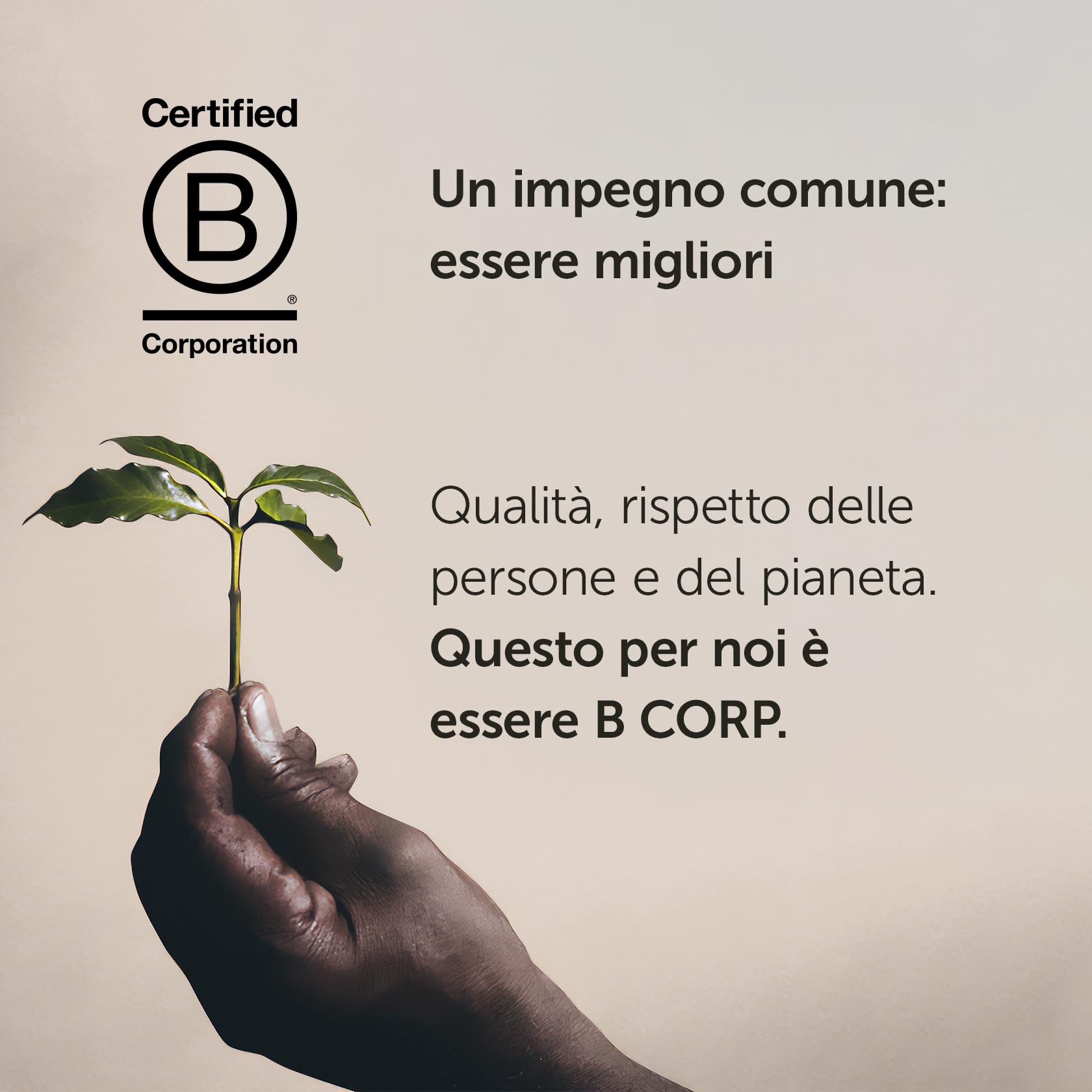 illy Intenso Bold Roast Ground Coffee, 250g 4