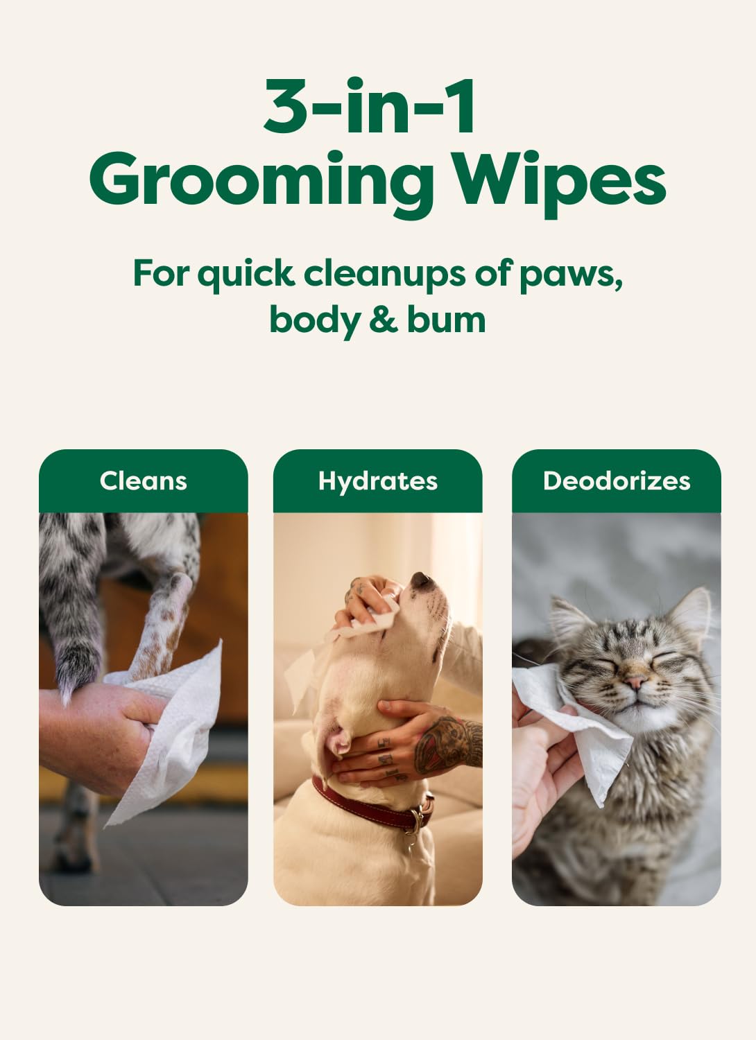 Earth Rated Hypoallergenic Grooming Wipes for Dogs - Unscented | 100 Count | 98% Biobased 4
